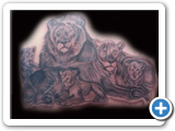 lions tat2 by studio