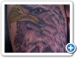 Eagle