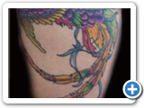 pheonix  tat2 by studio