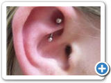 Rook