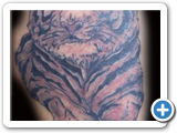 tiger2  tat2 by studio